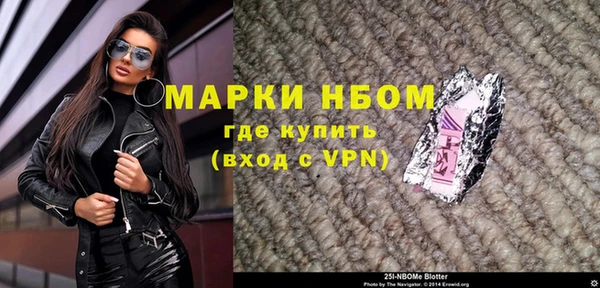 дживик Бородино