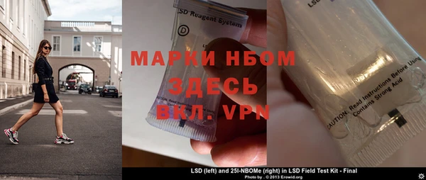 дживик Бородино