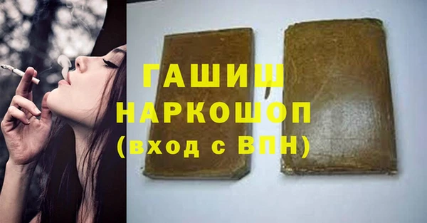 дживик Бородино