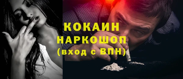 дживик Бородино