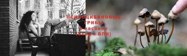 mdpv Бронницы