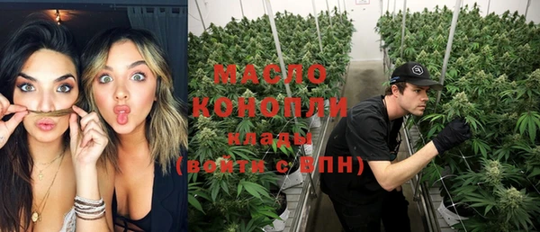 дживик Бородино