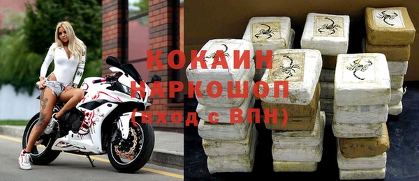 дживик Бородино