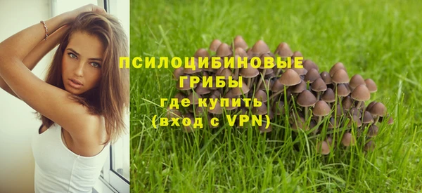 дживик Бородино