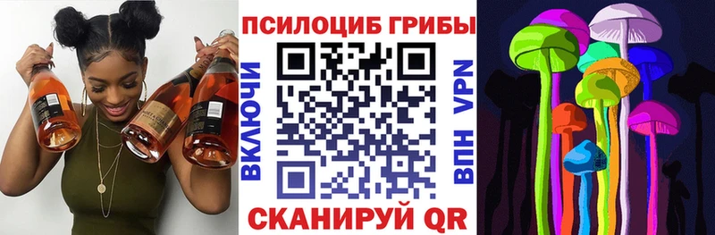 хочу наркоту  Городец  Галлюциногенные грибы Psilocybine cubensis 